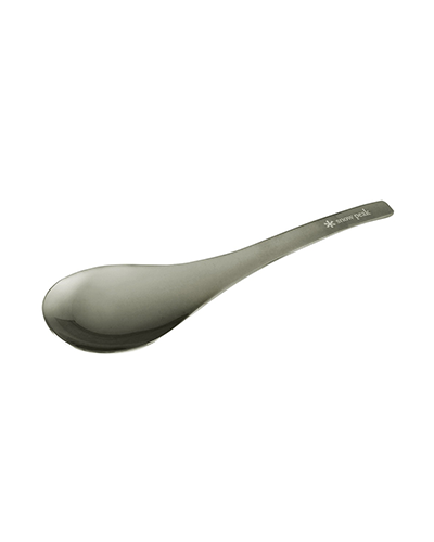 Stainless Steel Spoon